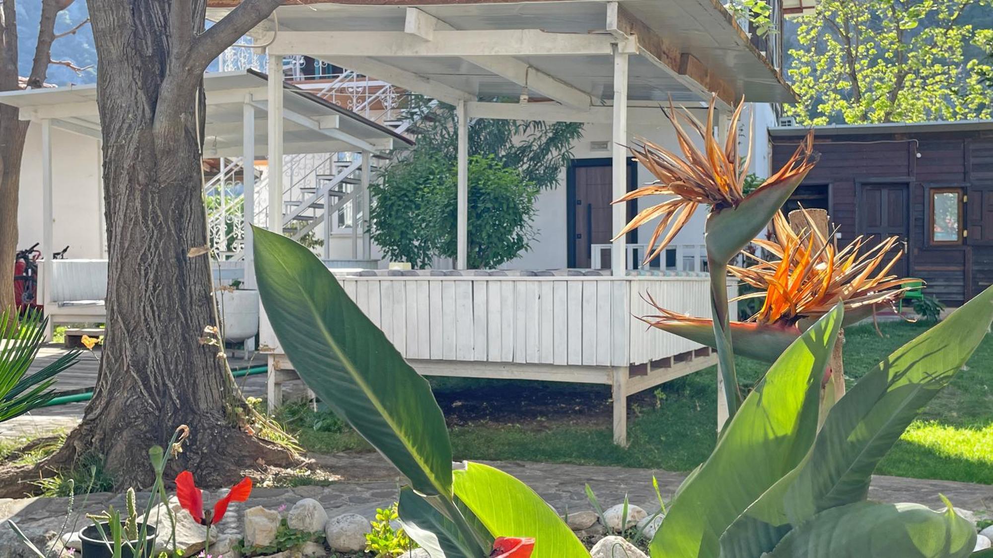 Jasmin Pansiyon Çıralı Extérieur photo
